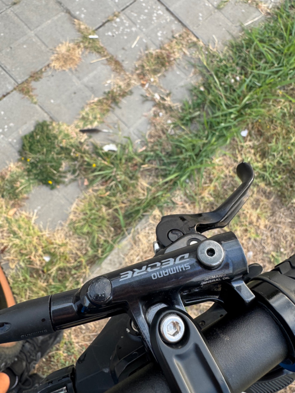 Bike view 9