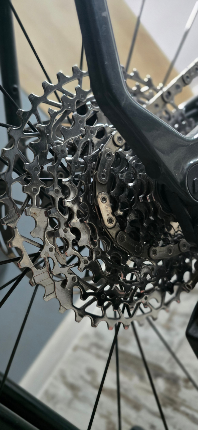 Bike view 10