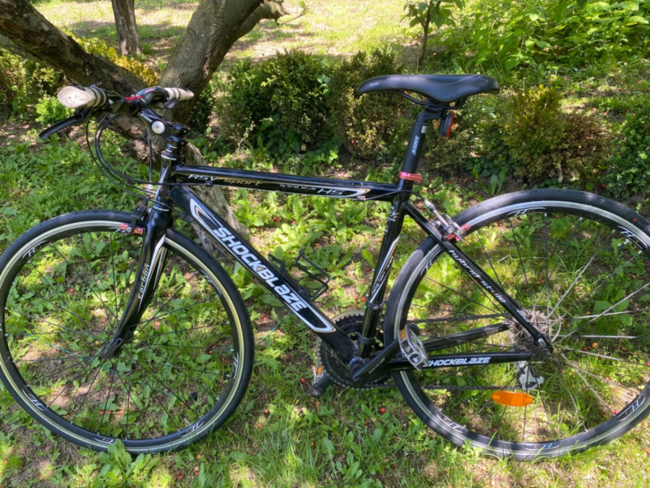 Bike view 7