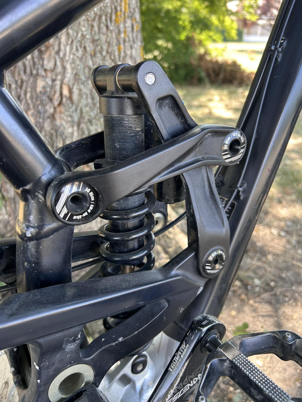 Bike view 8