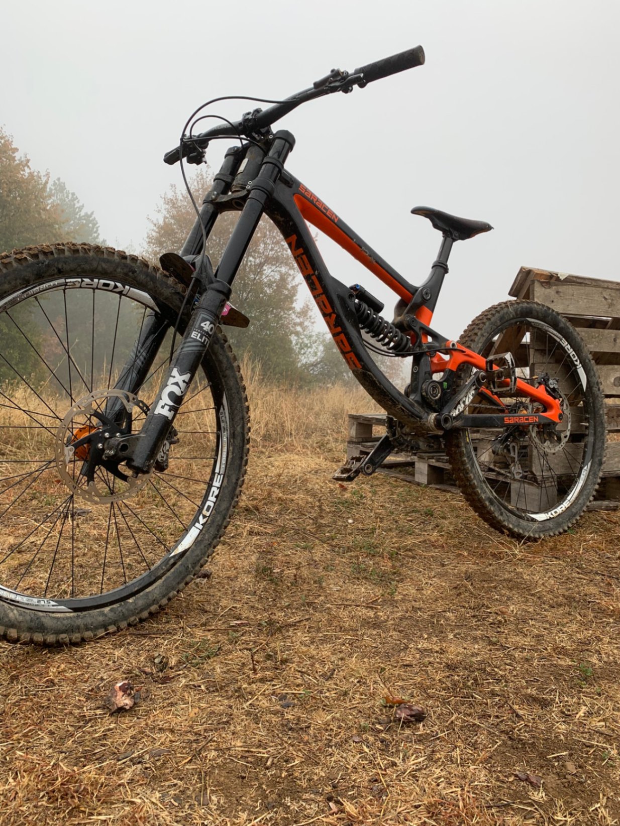 Saracen Myst X