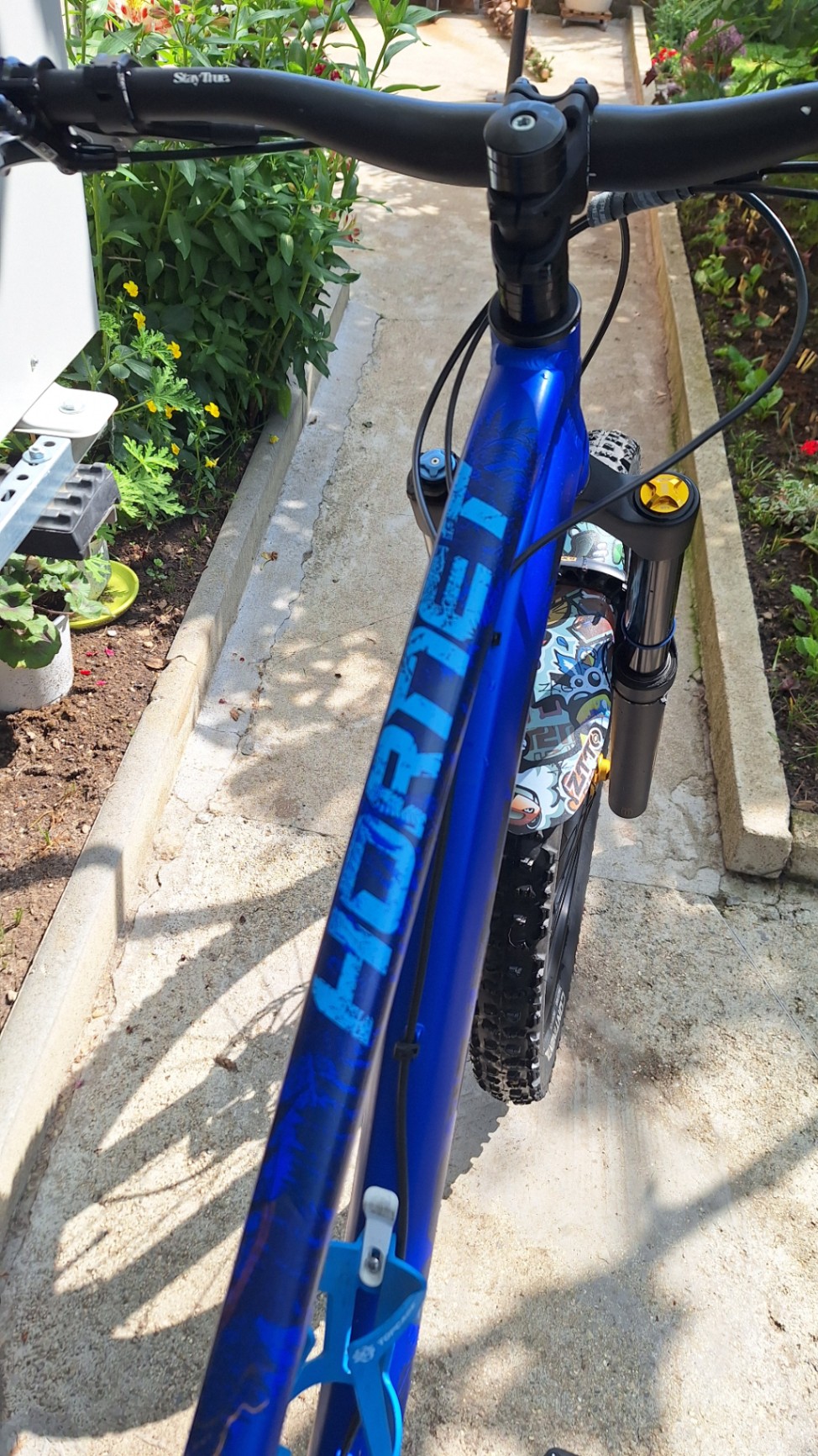 Bike view 10