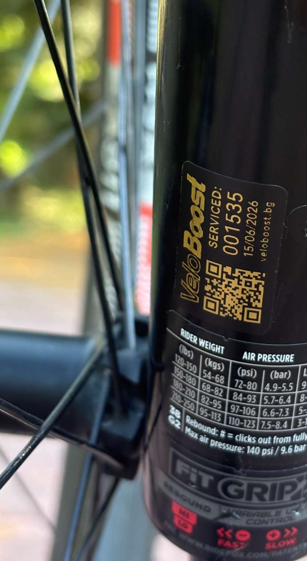Bike view 12