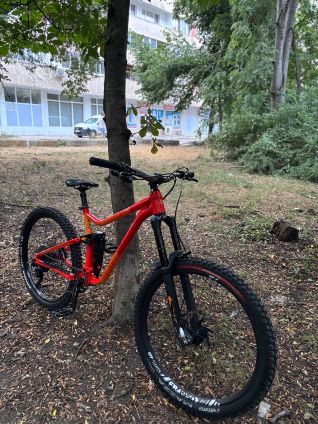 Bike view 10
