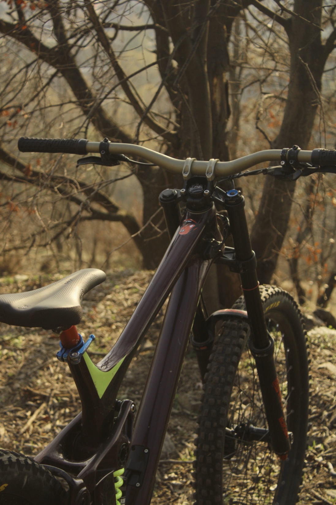 Bike view 5