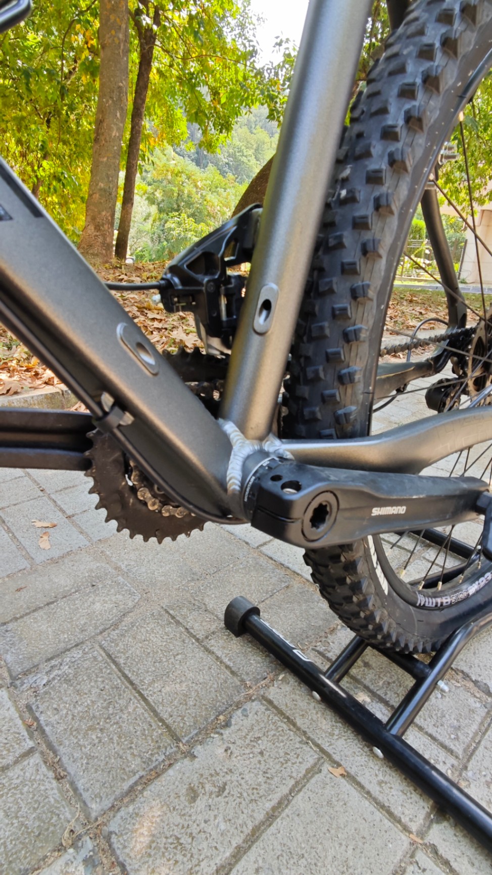 Bike view 6