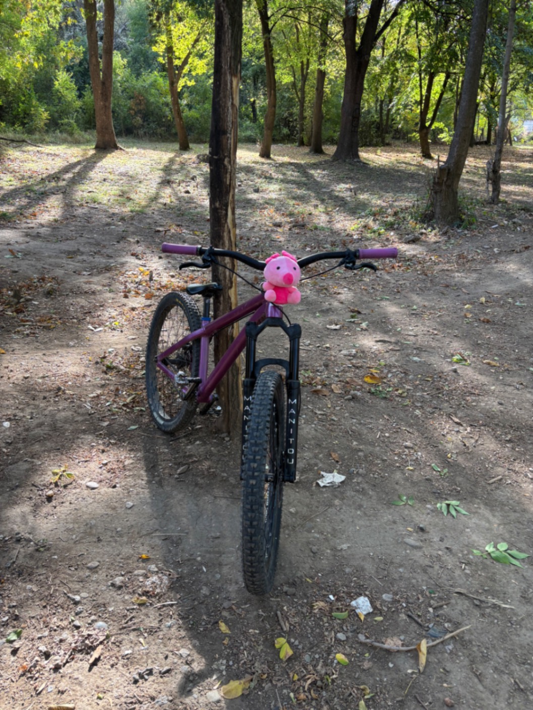 Bike view 9