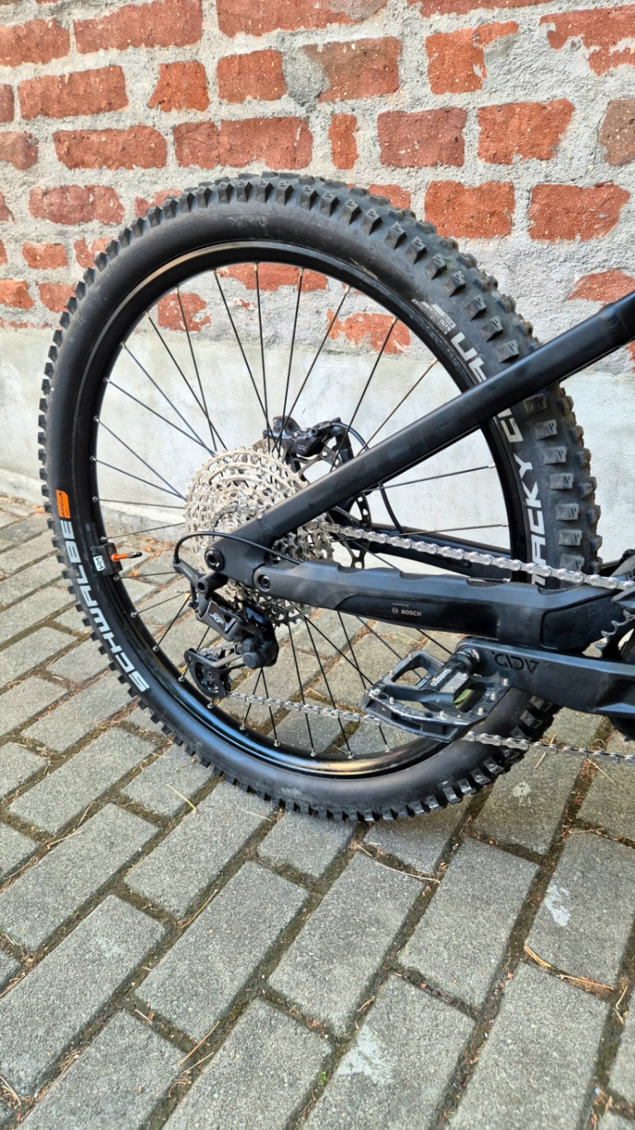 Bike view 7