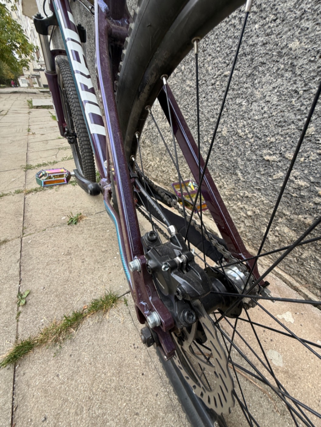 Bike view 12