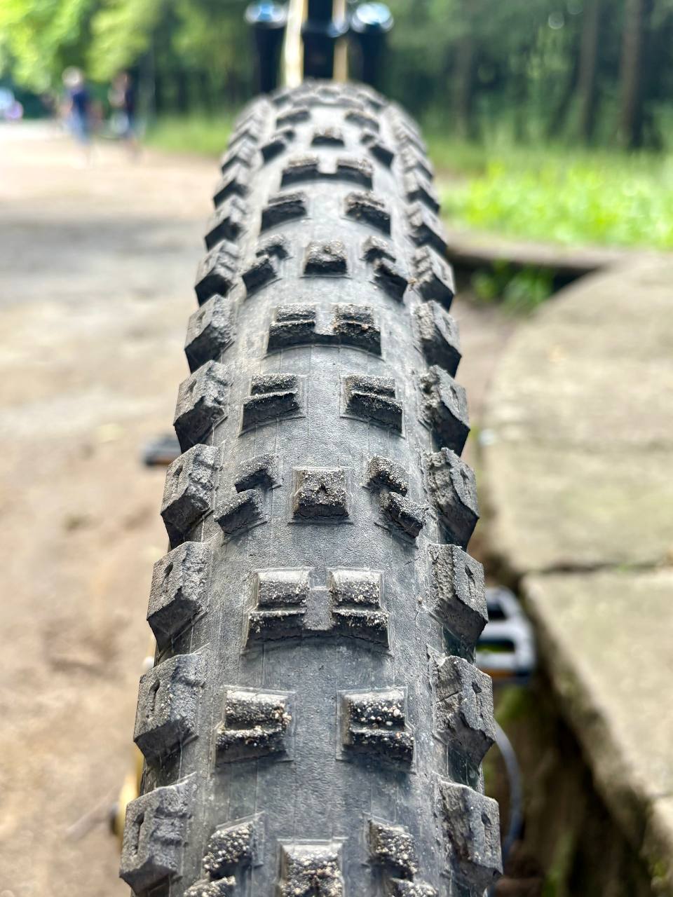 Bike view 7