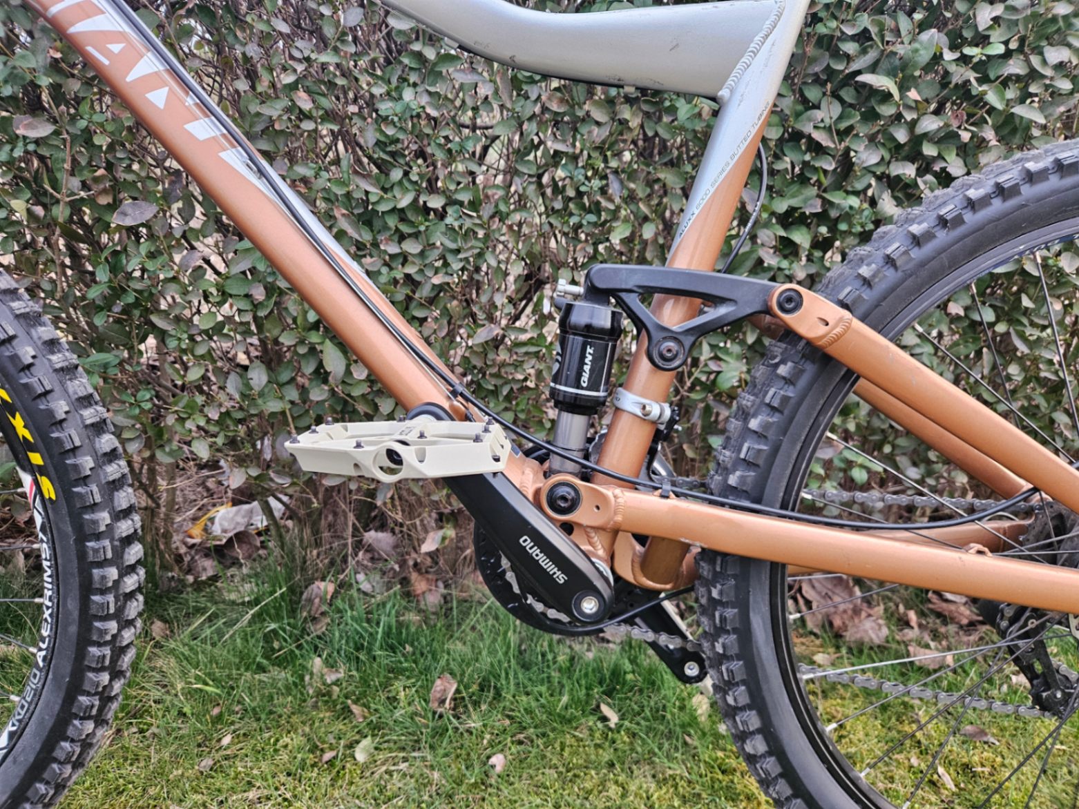 Bike view 6
