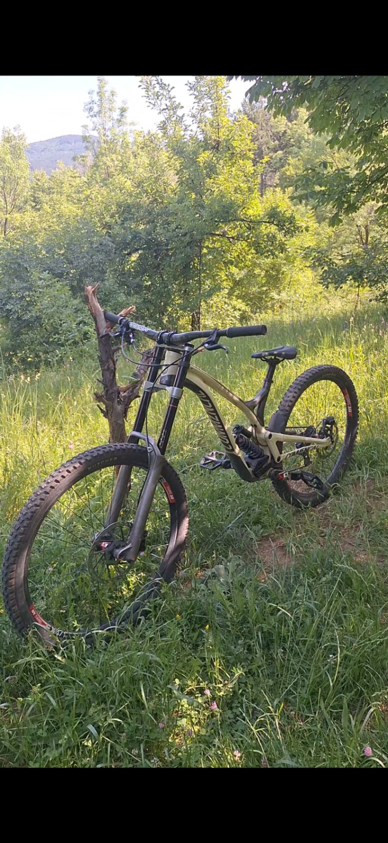 Bike view 4