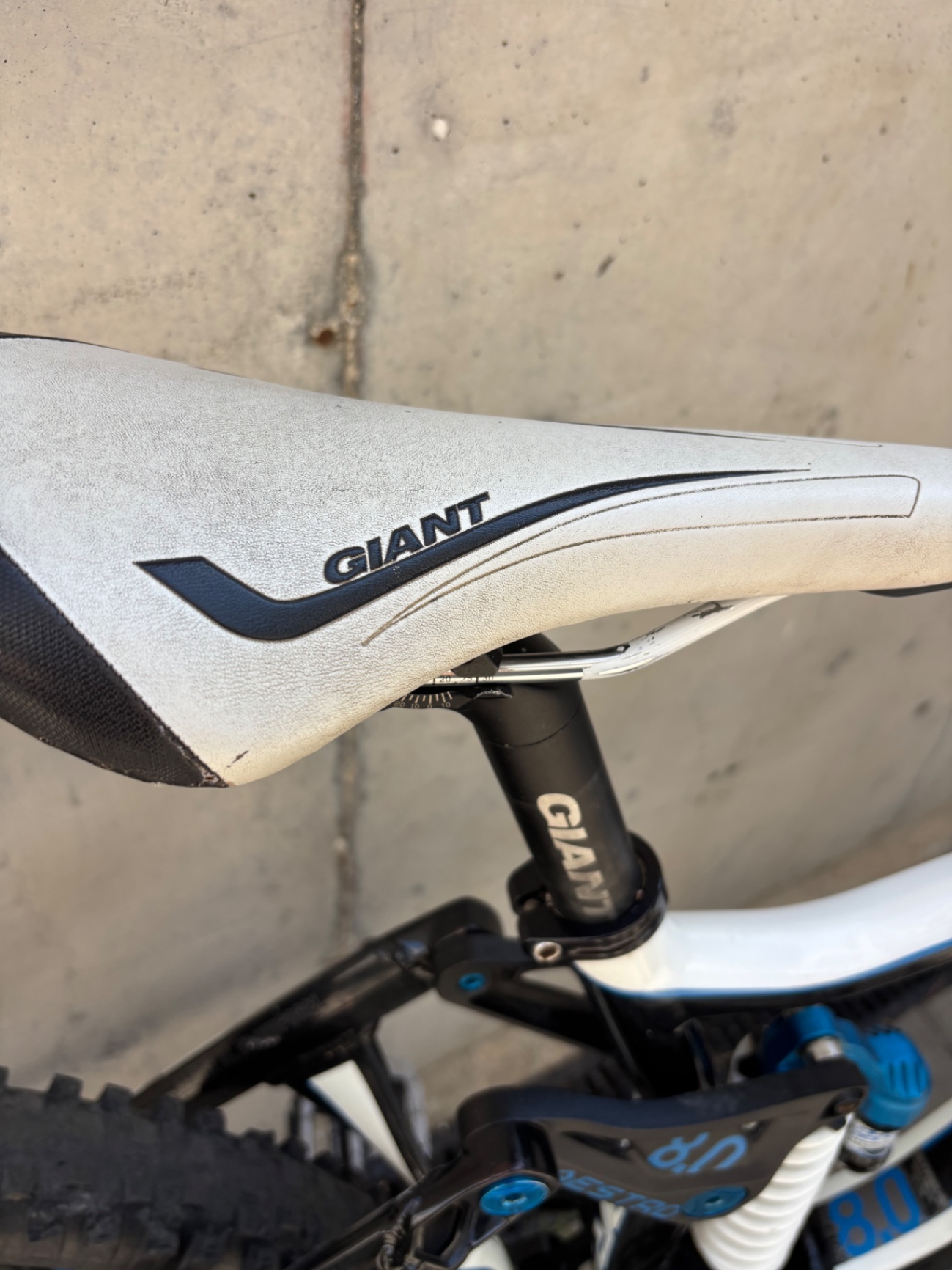 Bike view 8