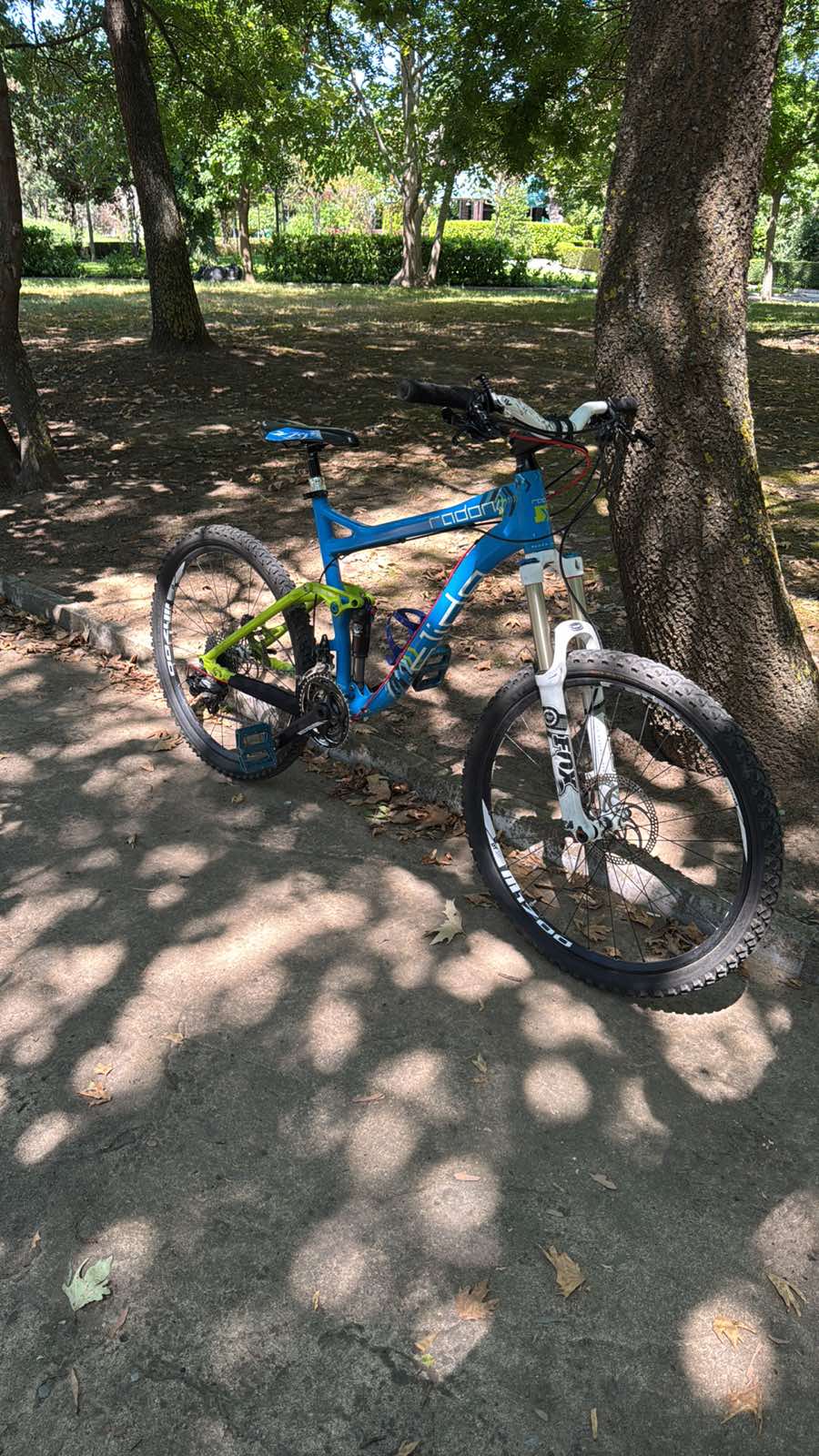 Bike view 8