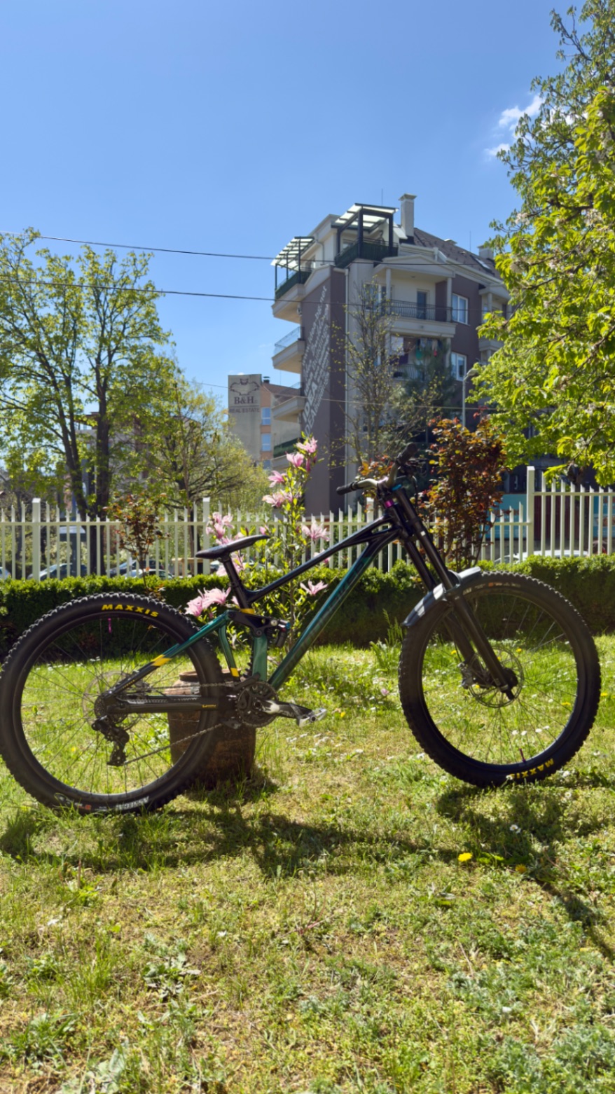 Bike view 5