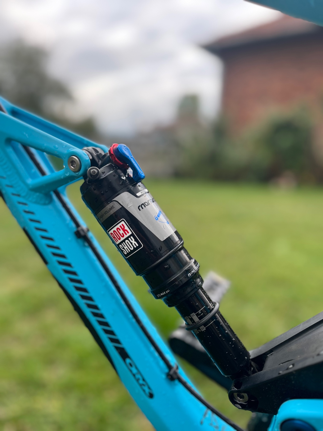 Bike view 10