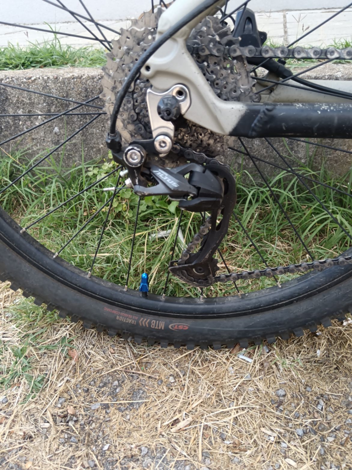 Bike view 11