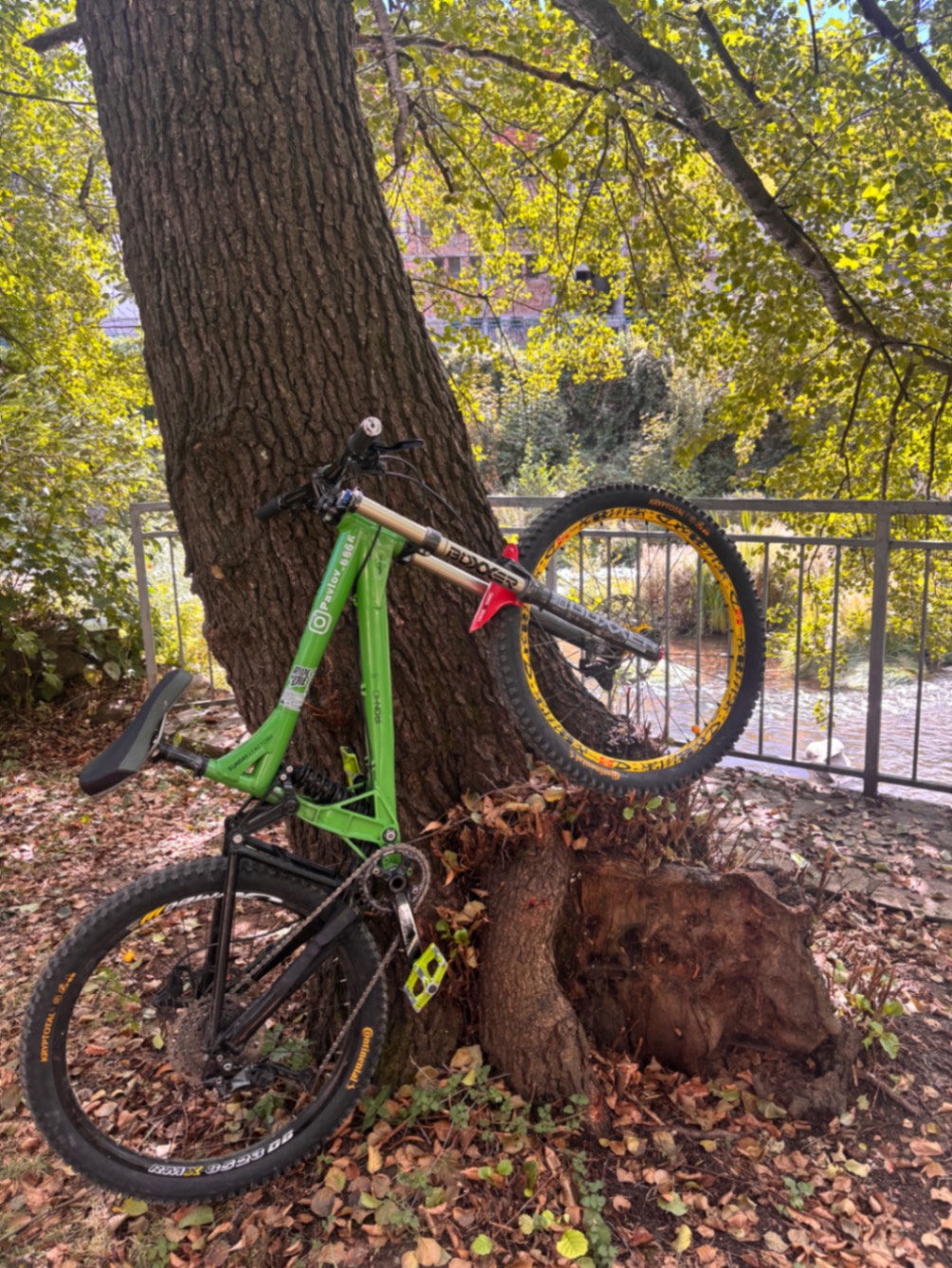 Bike view 10
