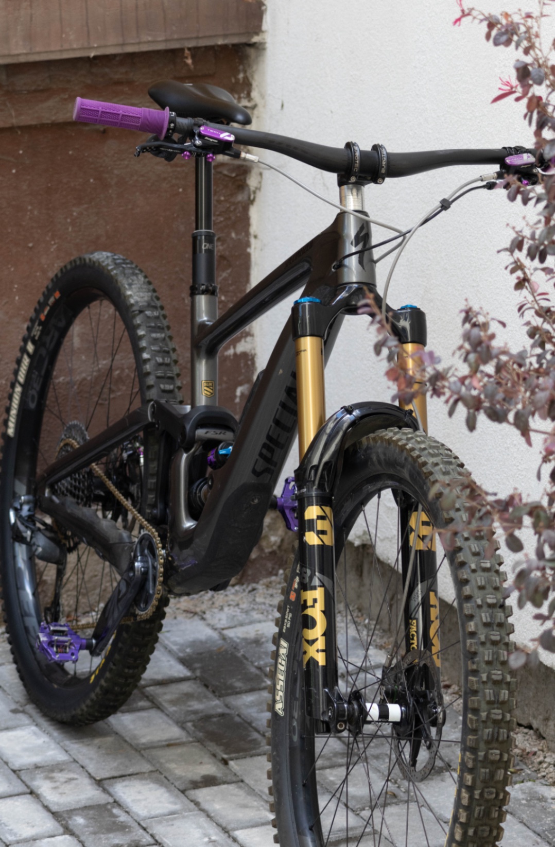 Bike view 11