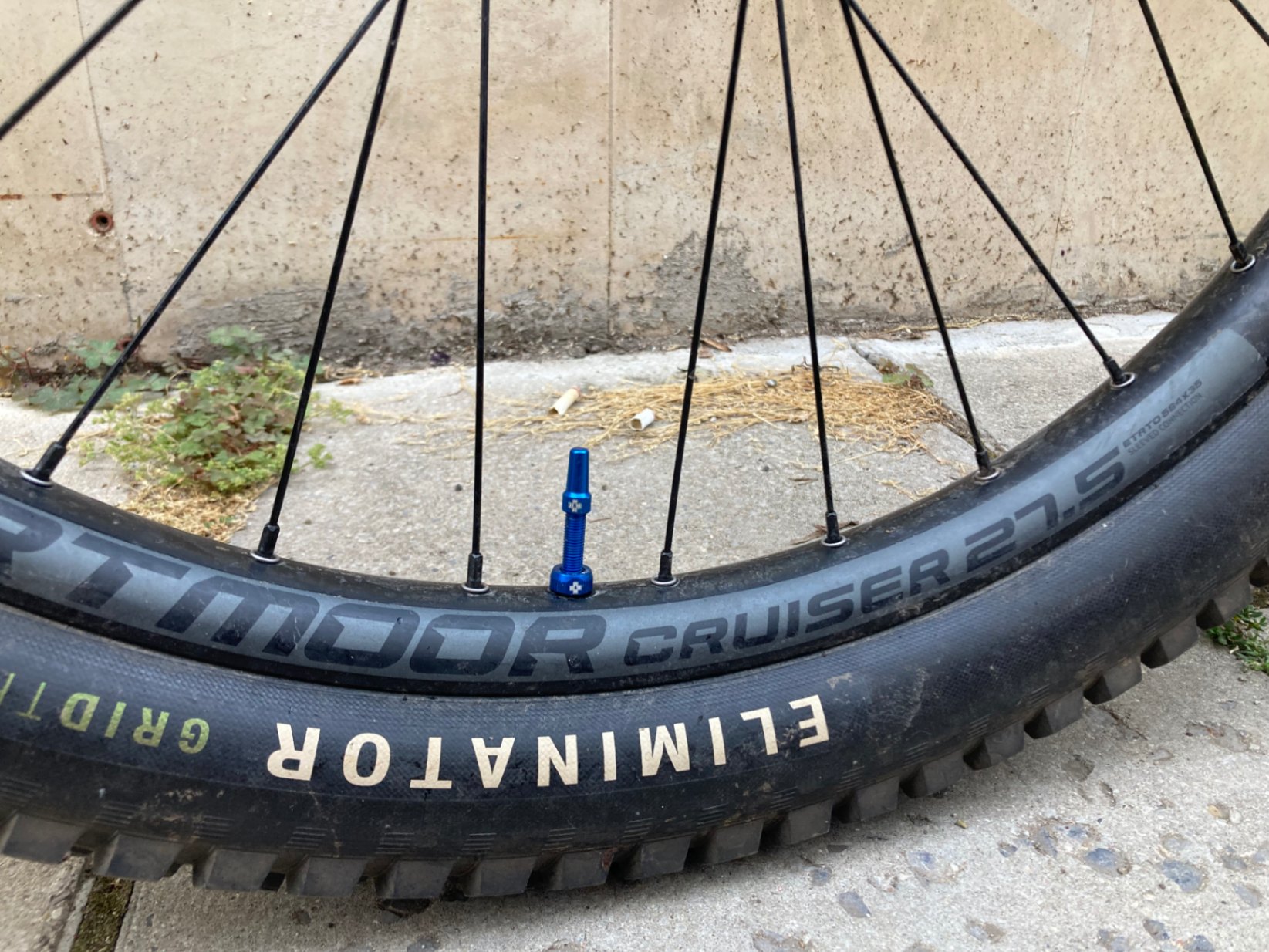 Bike view 7