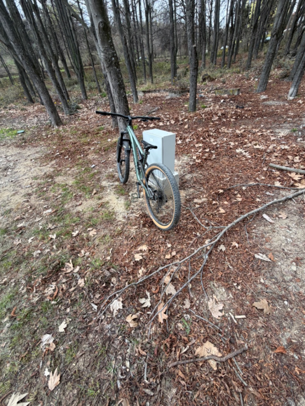 Bike view 2
