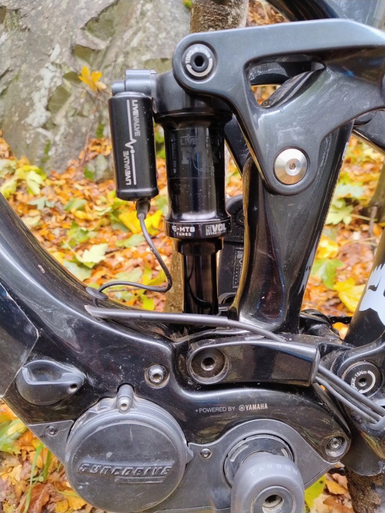Bike view 4