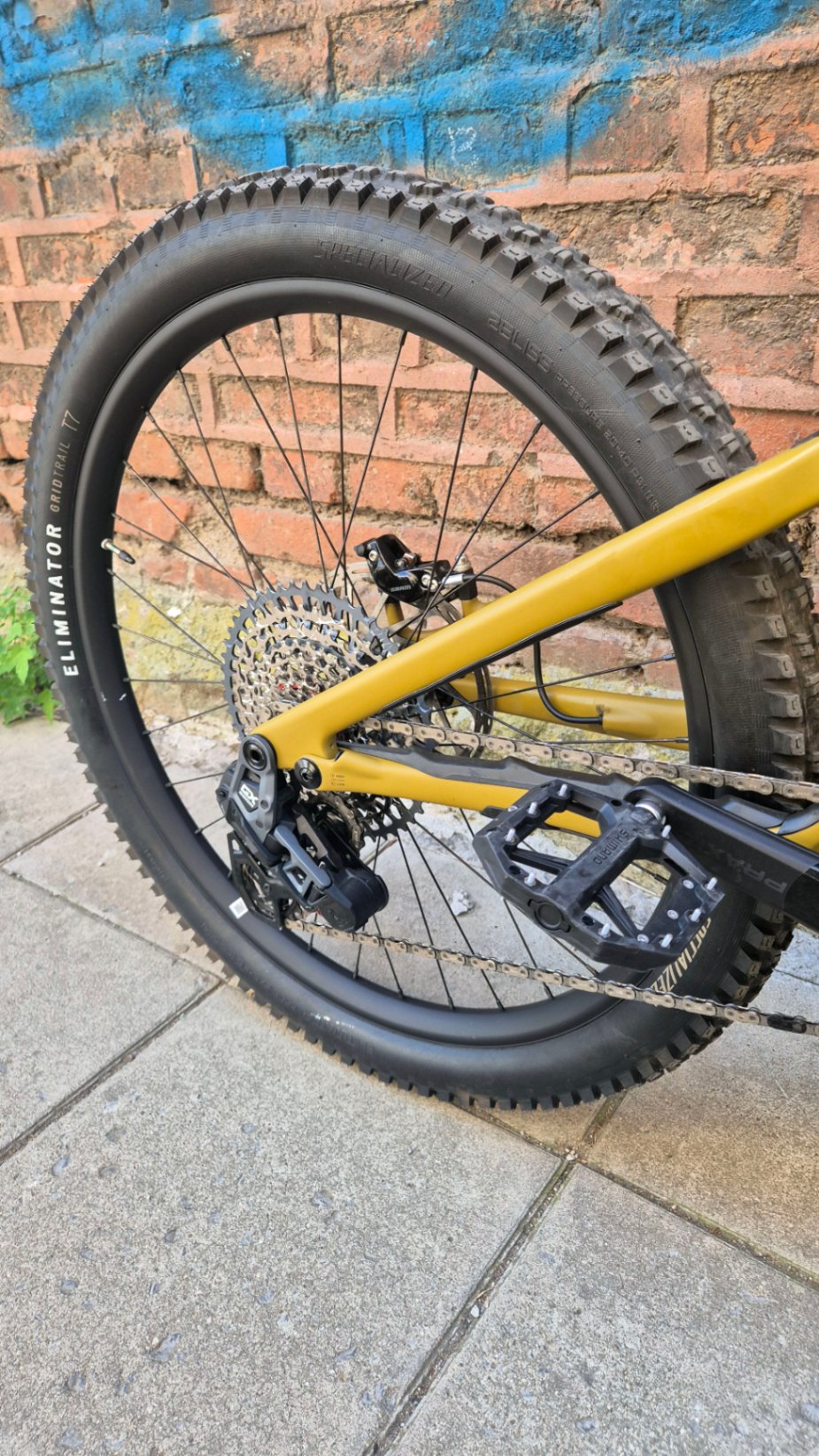 Bike view 7