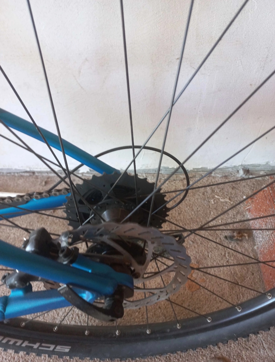 Bike view 4
