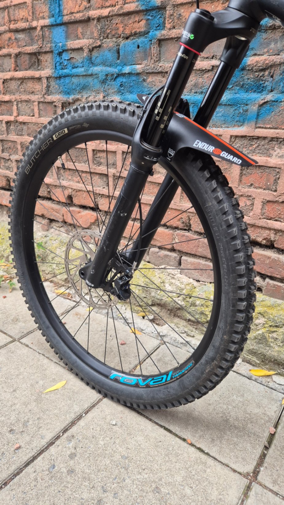 Bike view 10