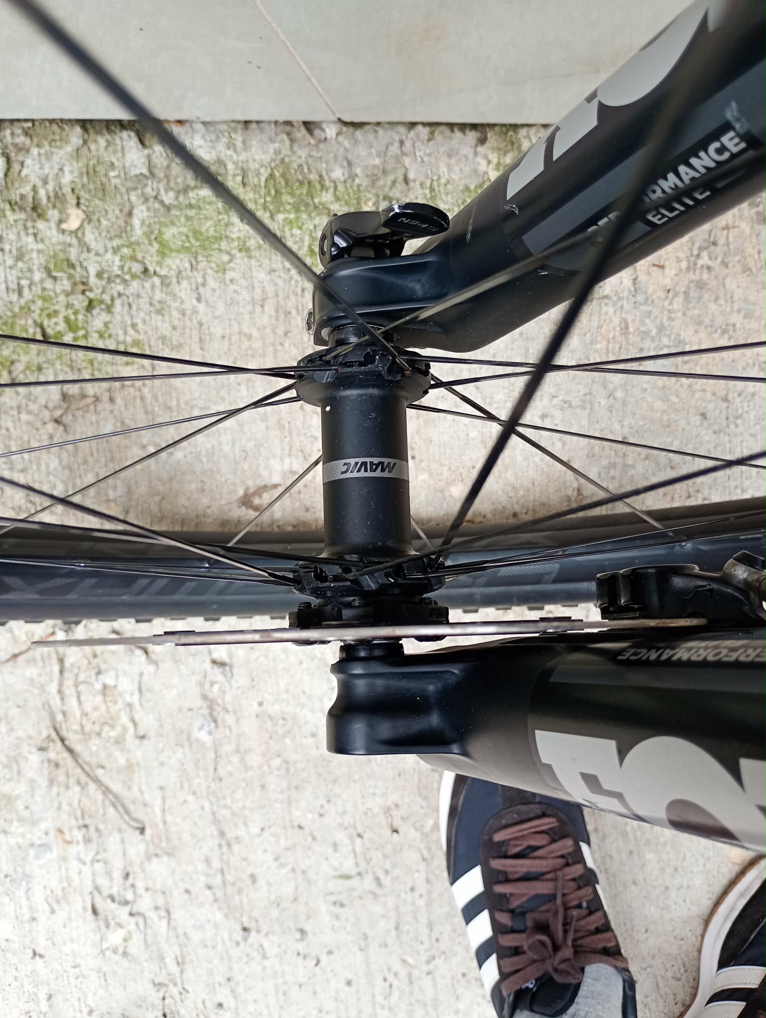 Bike view 12