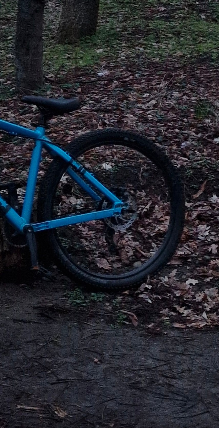 Bike view 3