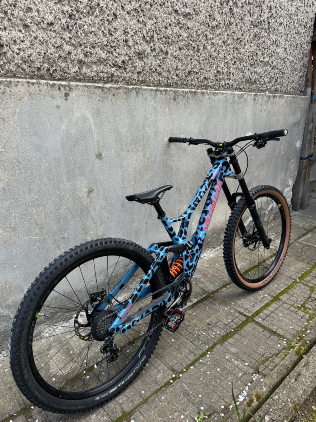 Bike view 8