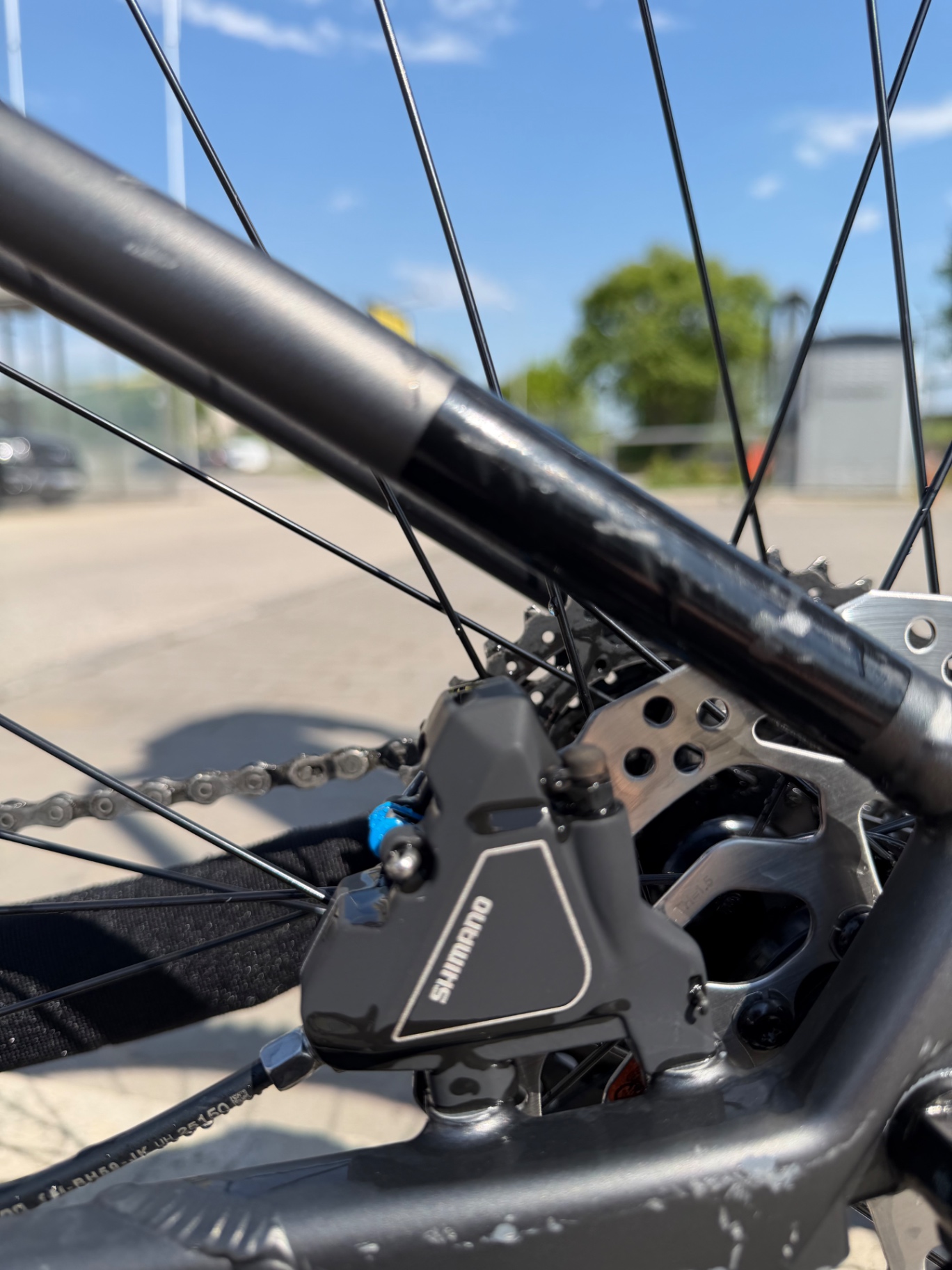 Bike view 6