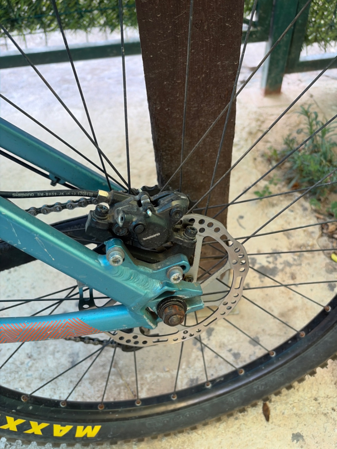 Bike view 9