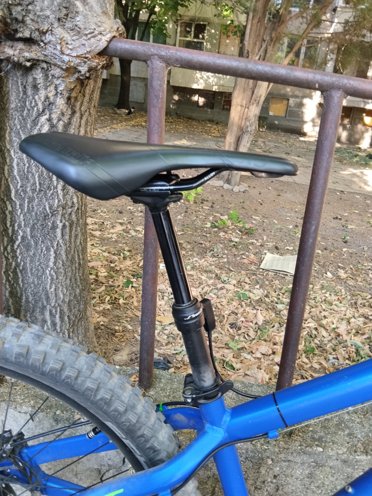 Bike view 9