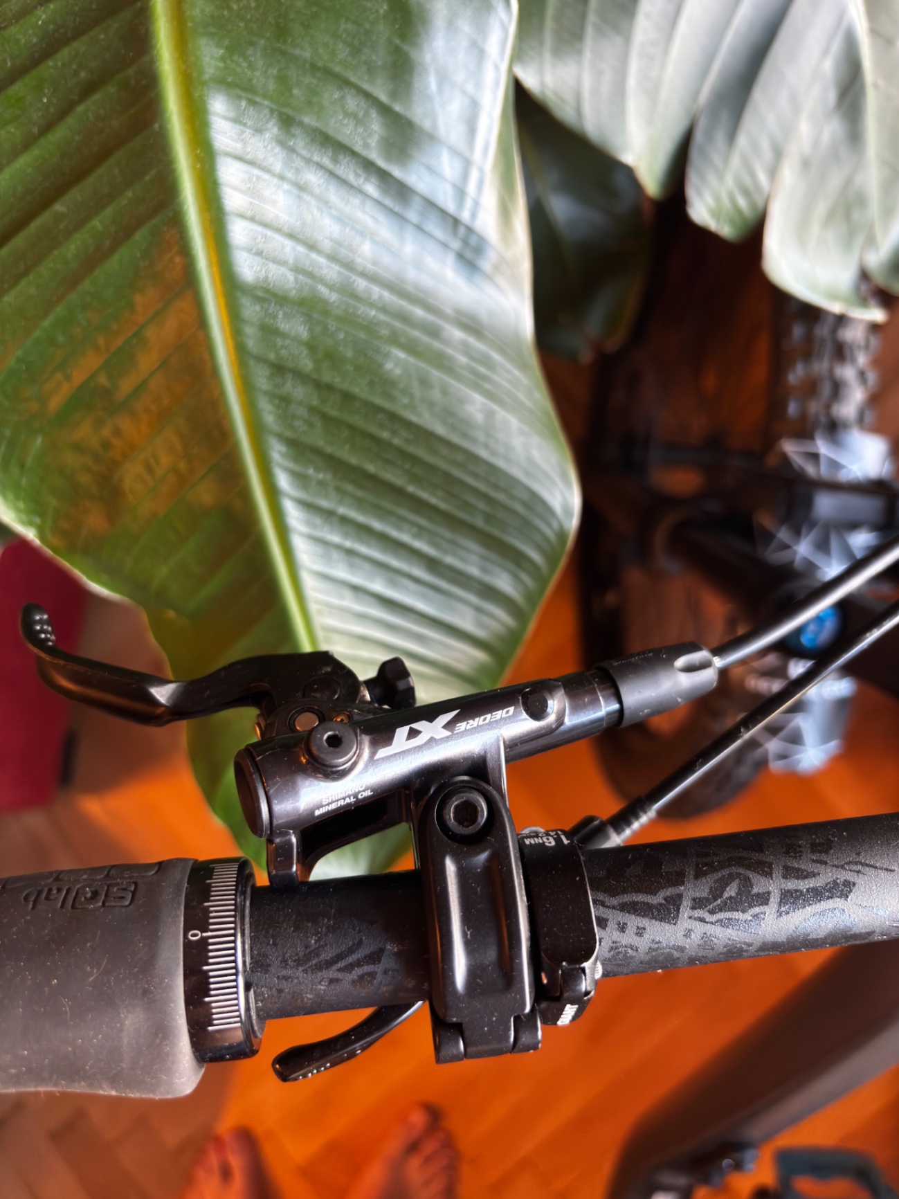 Bike view 10