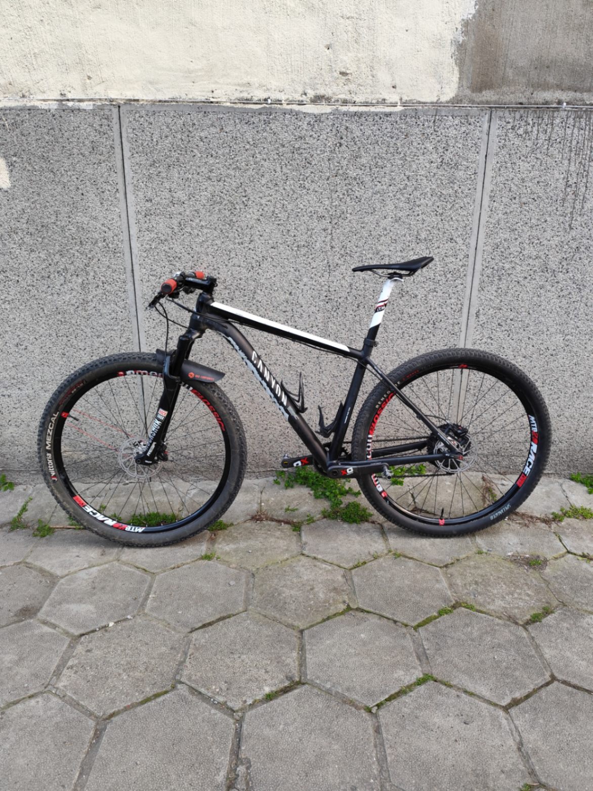 Bike view 9