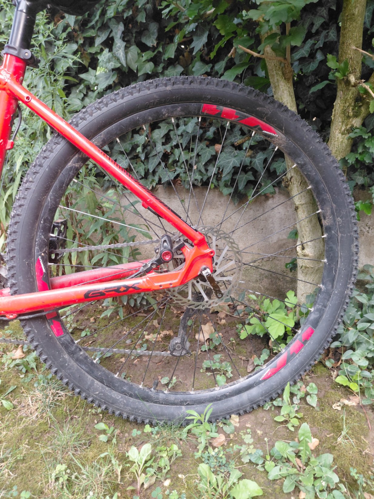 Bike view 4