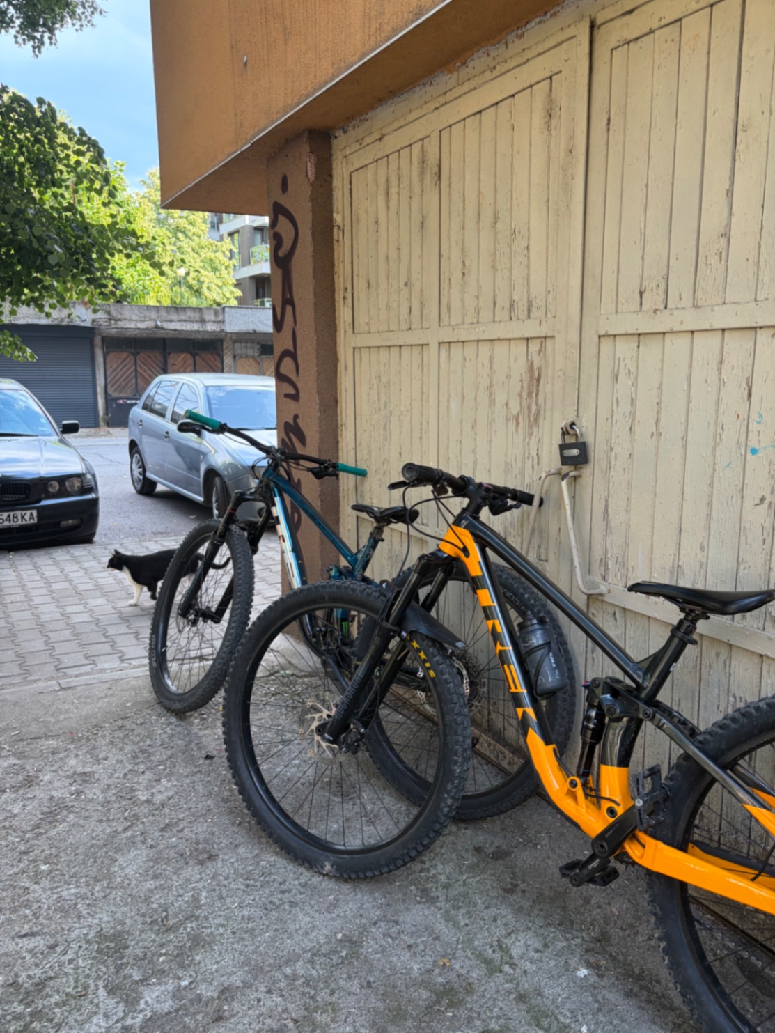 Bike view 7