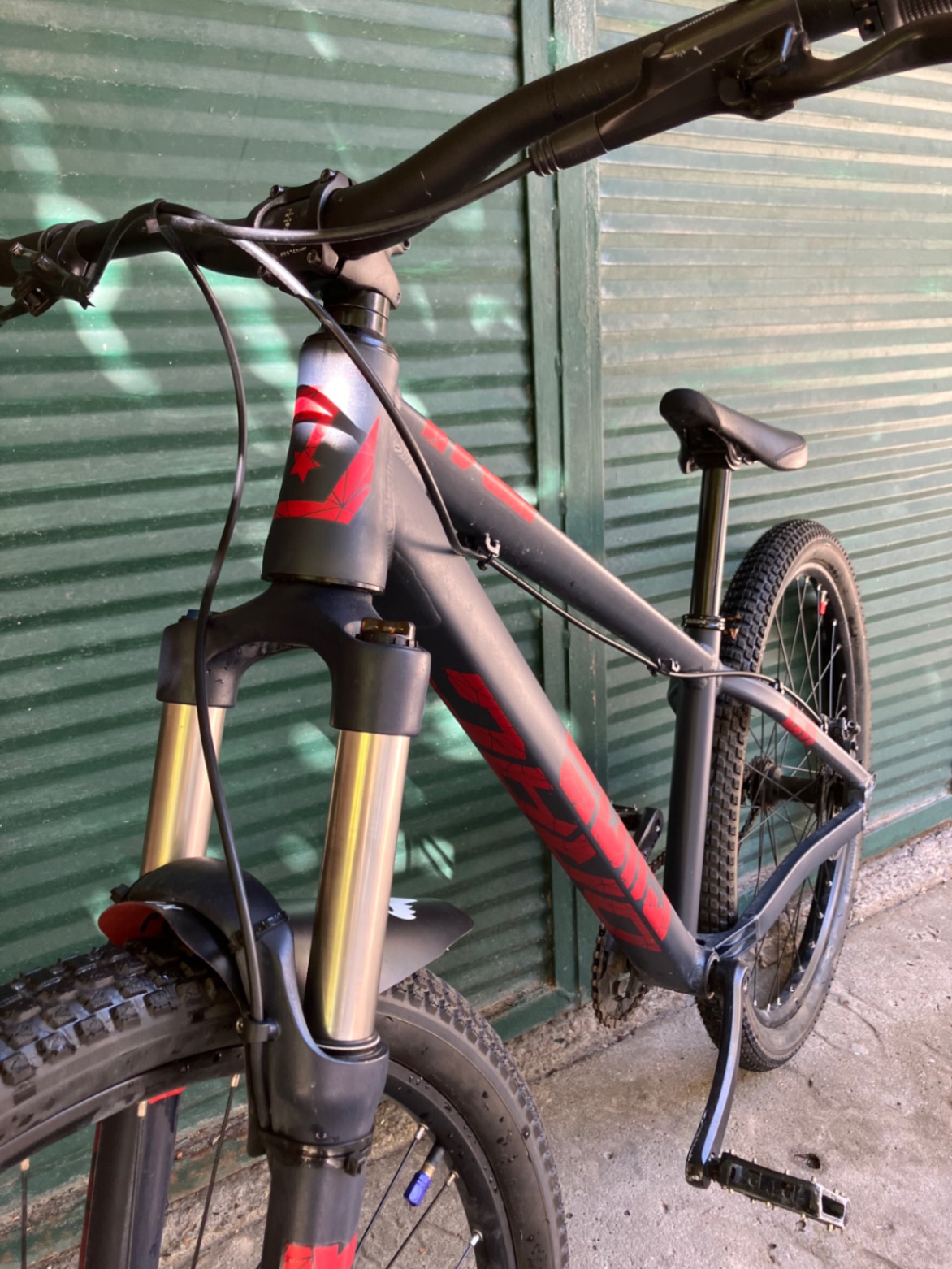 Bike view 12