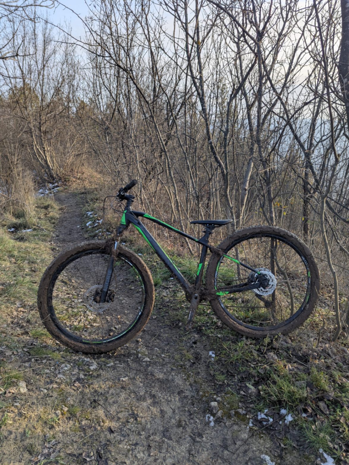 Bike view 5