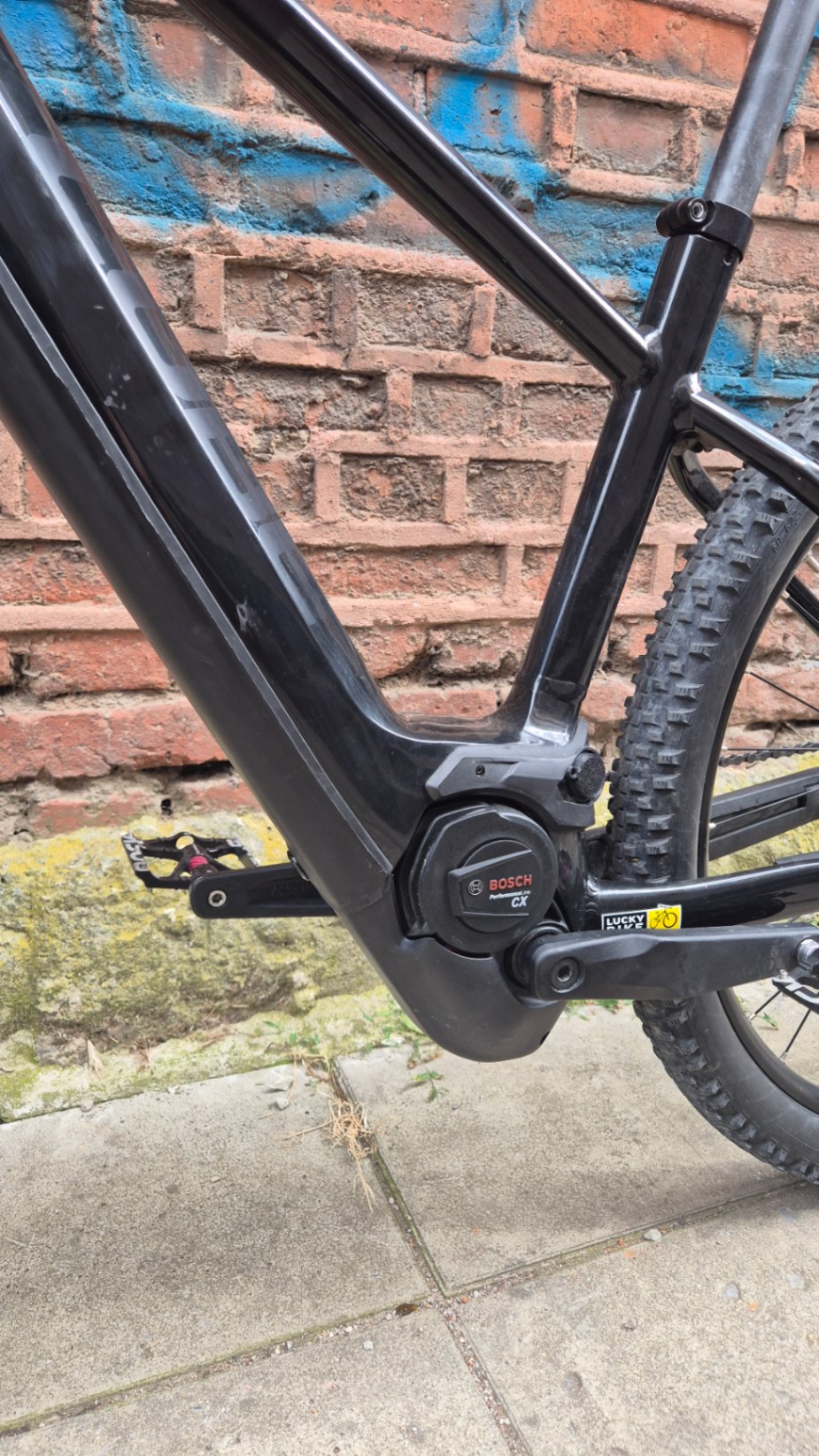 Bike view 6