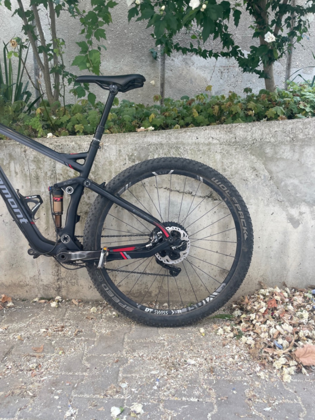 Bike view 9