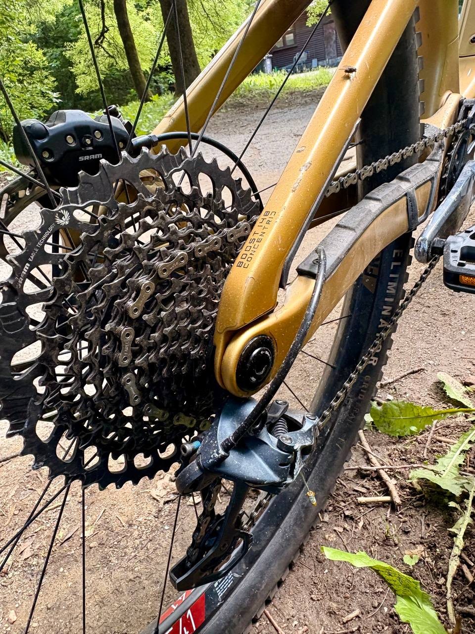 Bike view 2