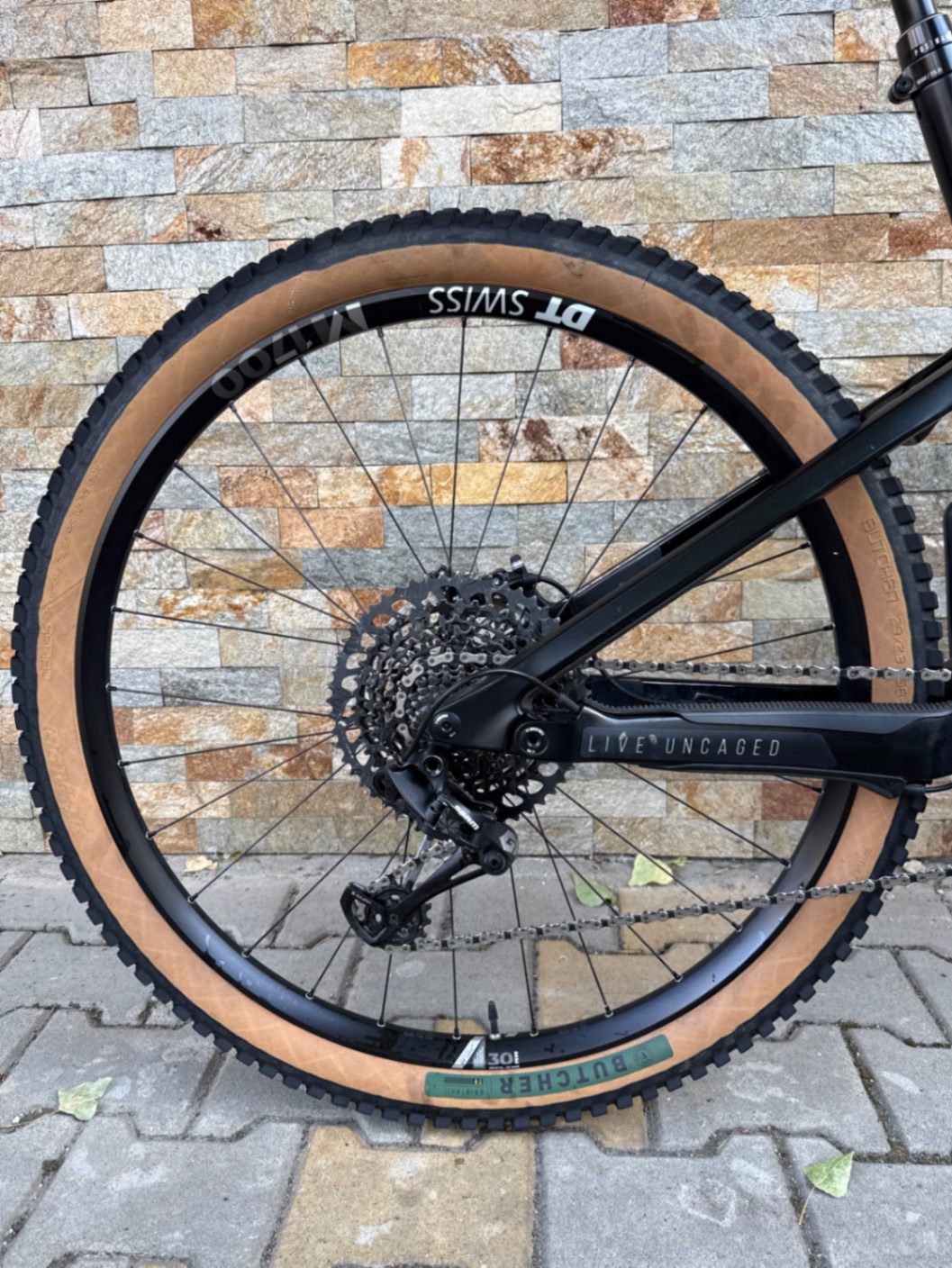 Bike view 6