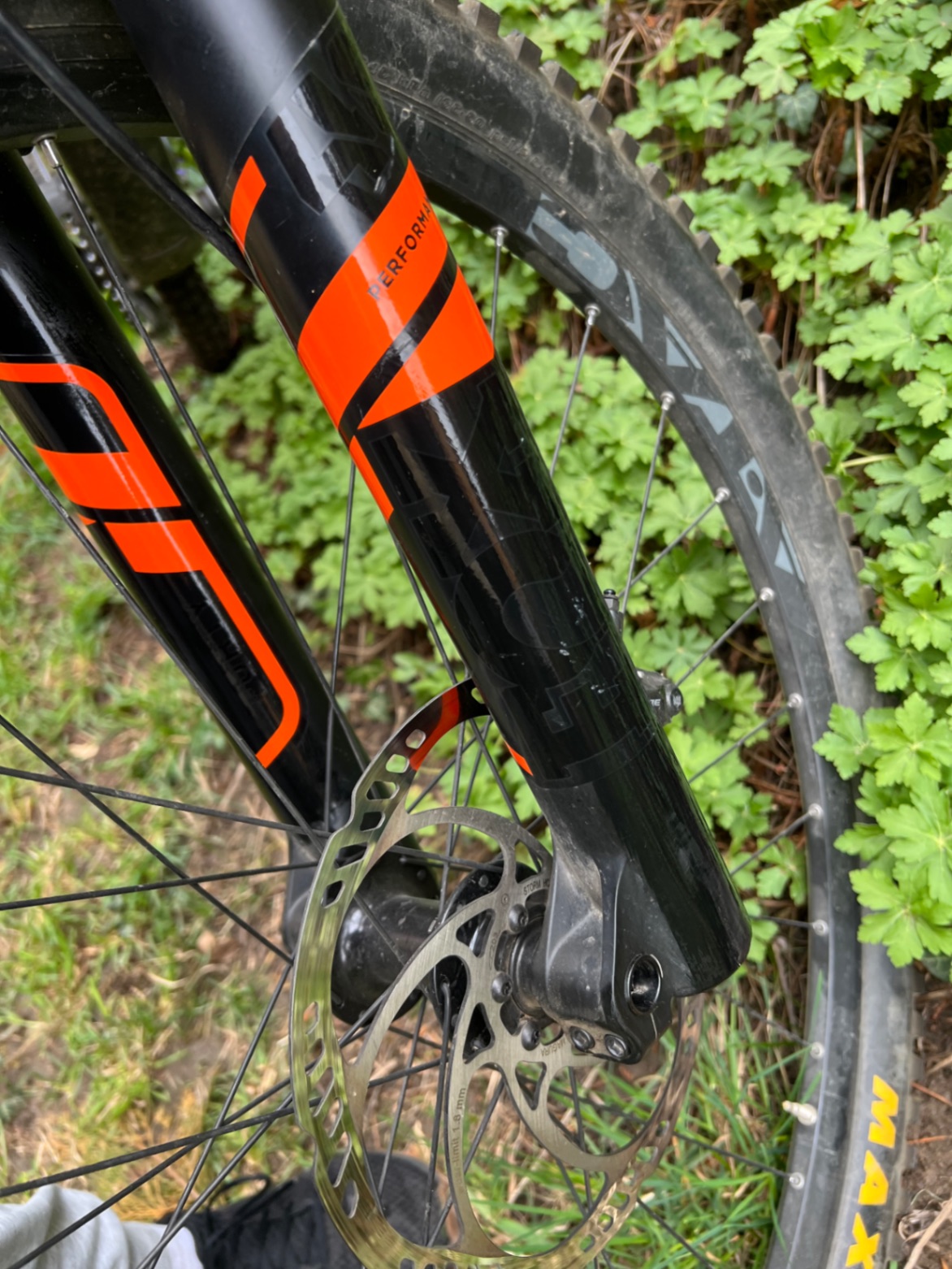 Bike view 9