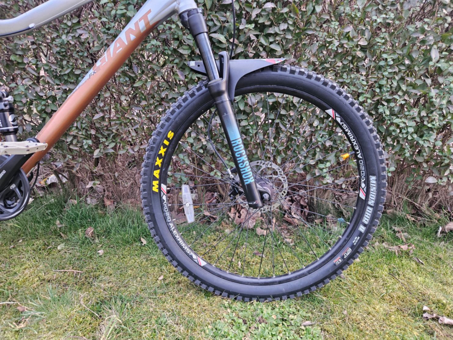 Bike view 9