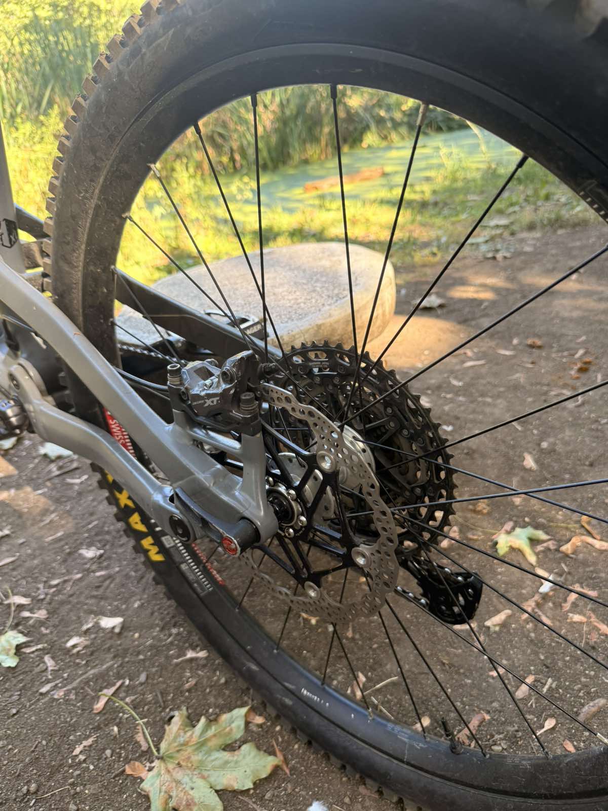 Bike view 5