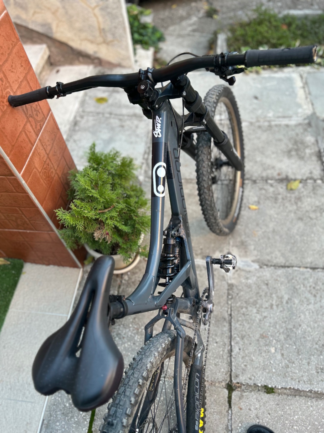 Bike view 6