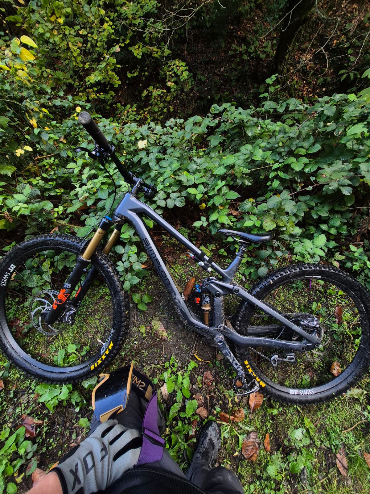 Bike view 4